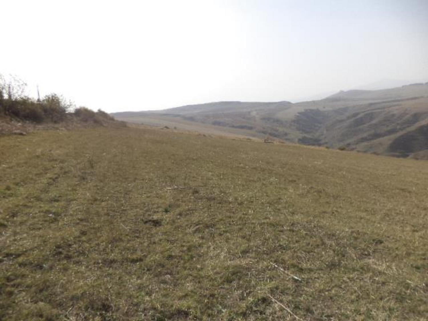 	Վարելահողի 1/5 բաժնեմաս, Դարբաս
