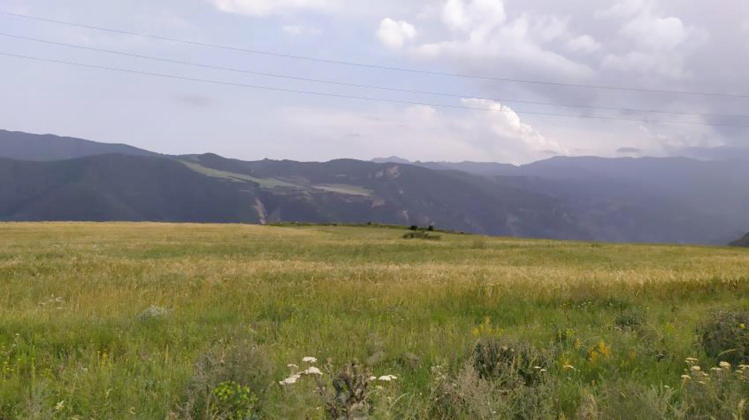 Վարելահողի 1/8 բաժնեմաս,  Քարահունջ