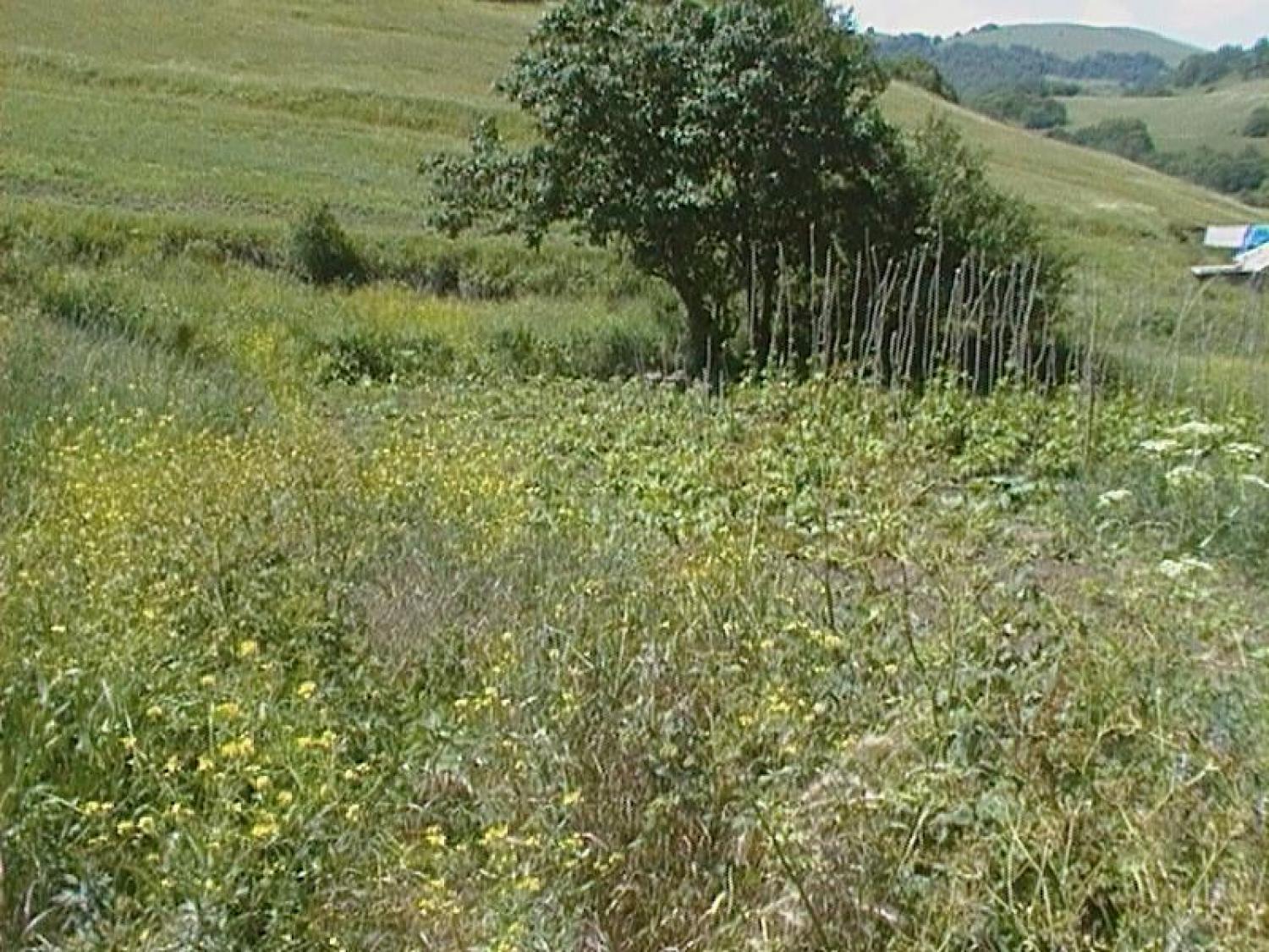 Վարելահող, Նավուր