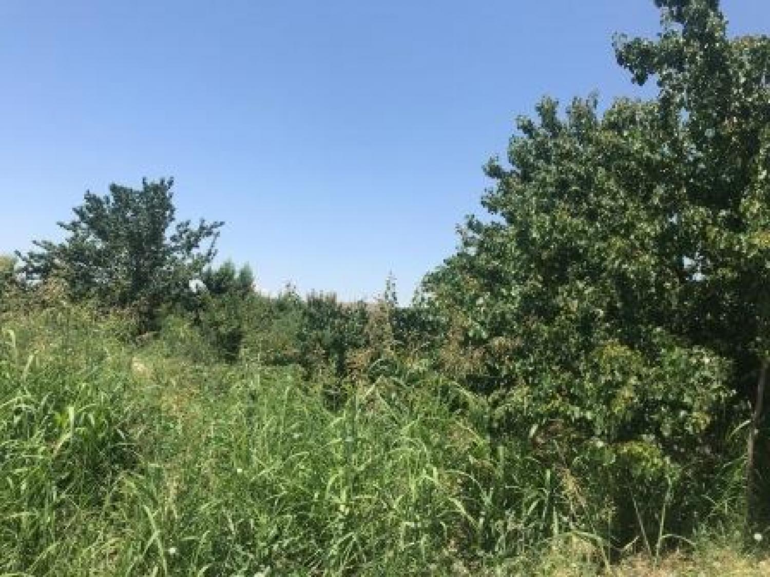 Վարելահող, Վերին Դվին