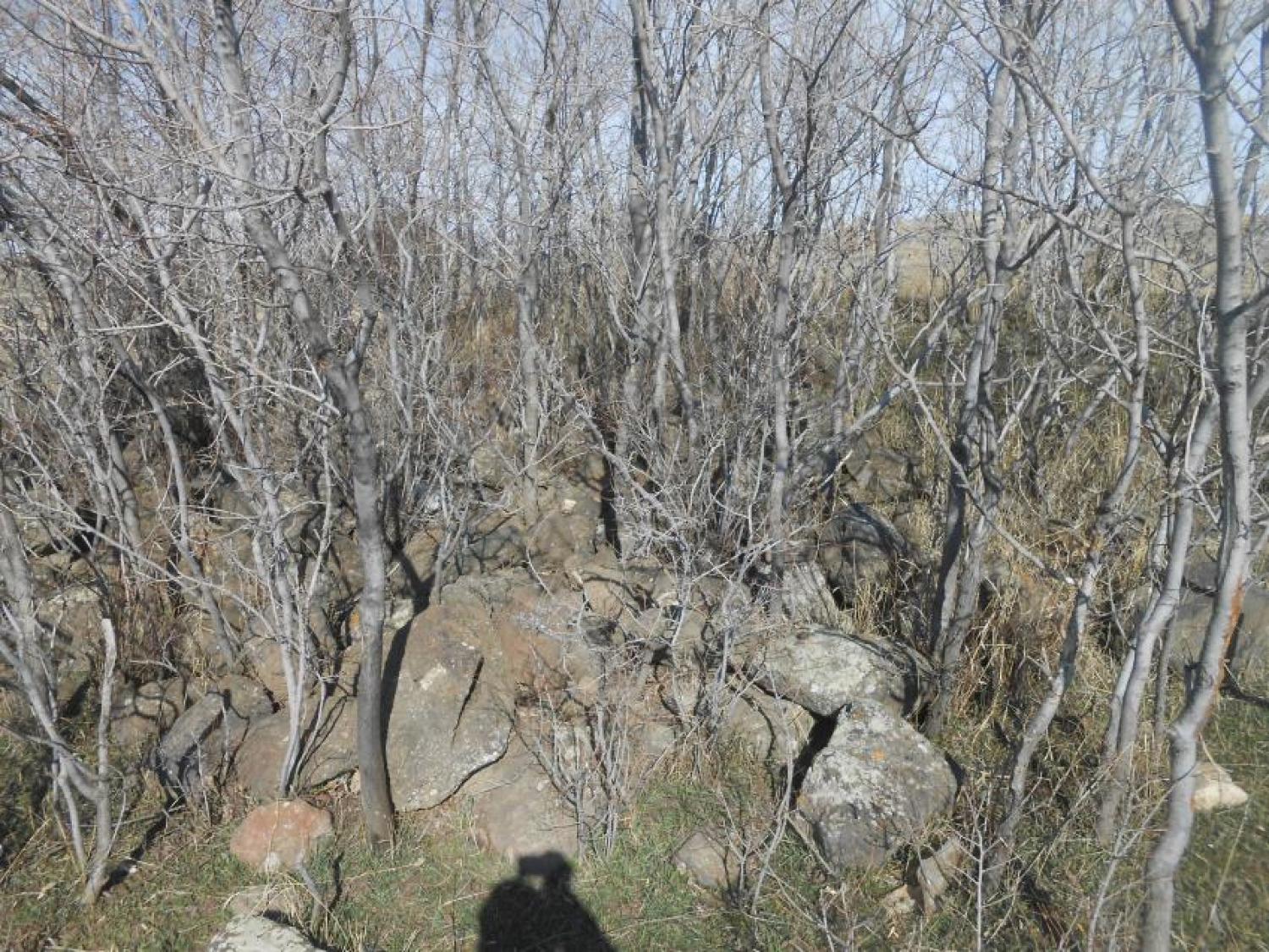Վարելահող, Ն. Սասնաշեն