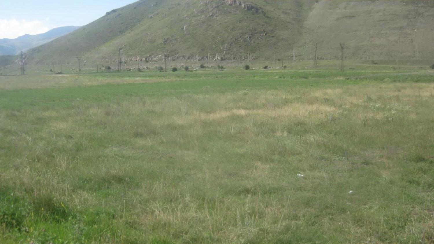 Վարելահողի 1/7 բաժնեմասը, Աղավնաձոր
