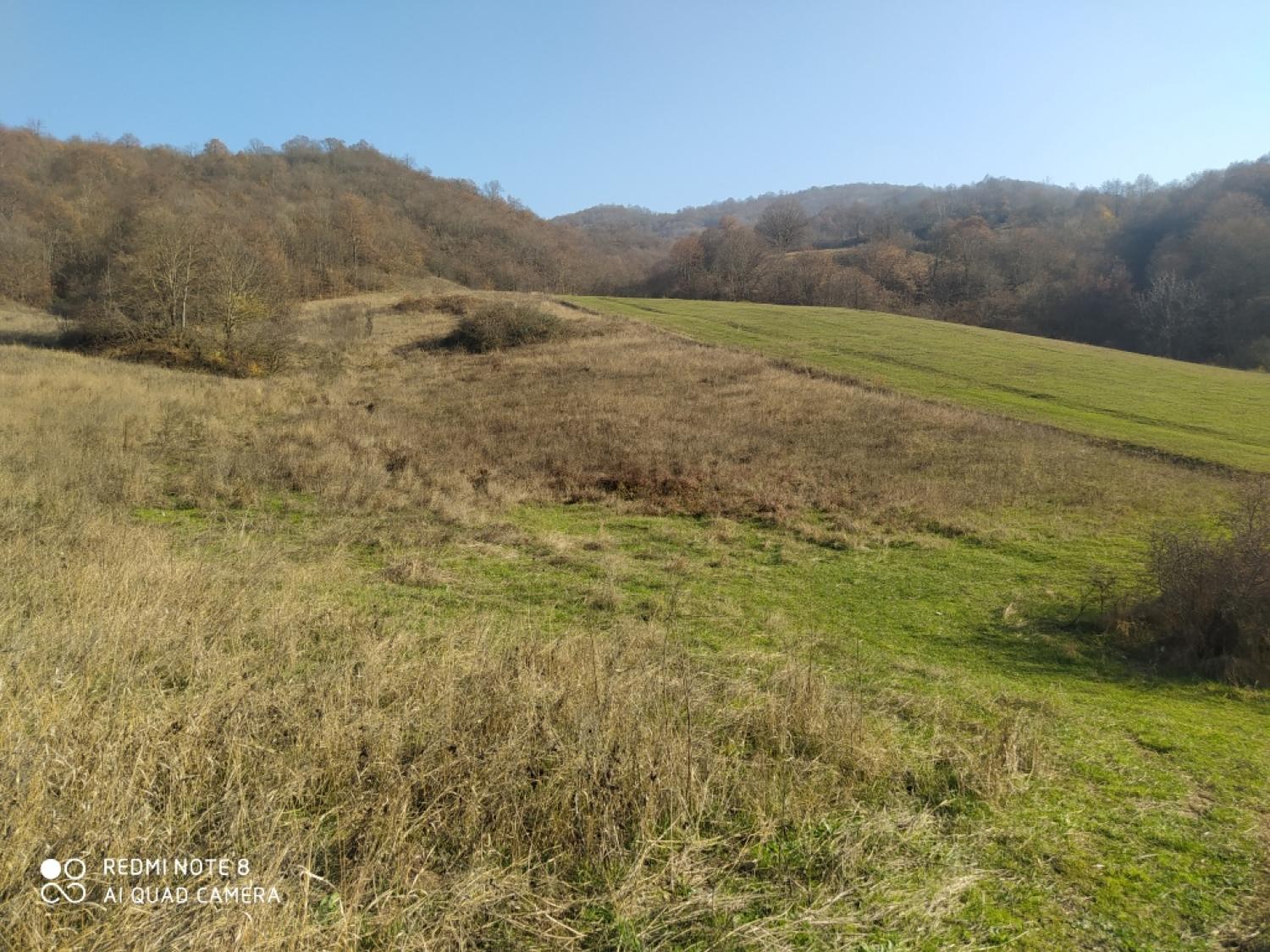 Վարելահող, Բերդ