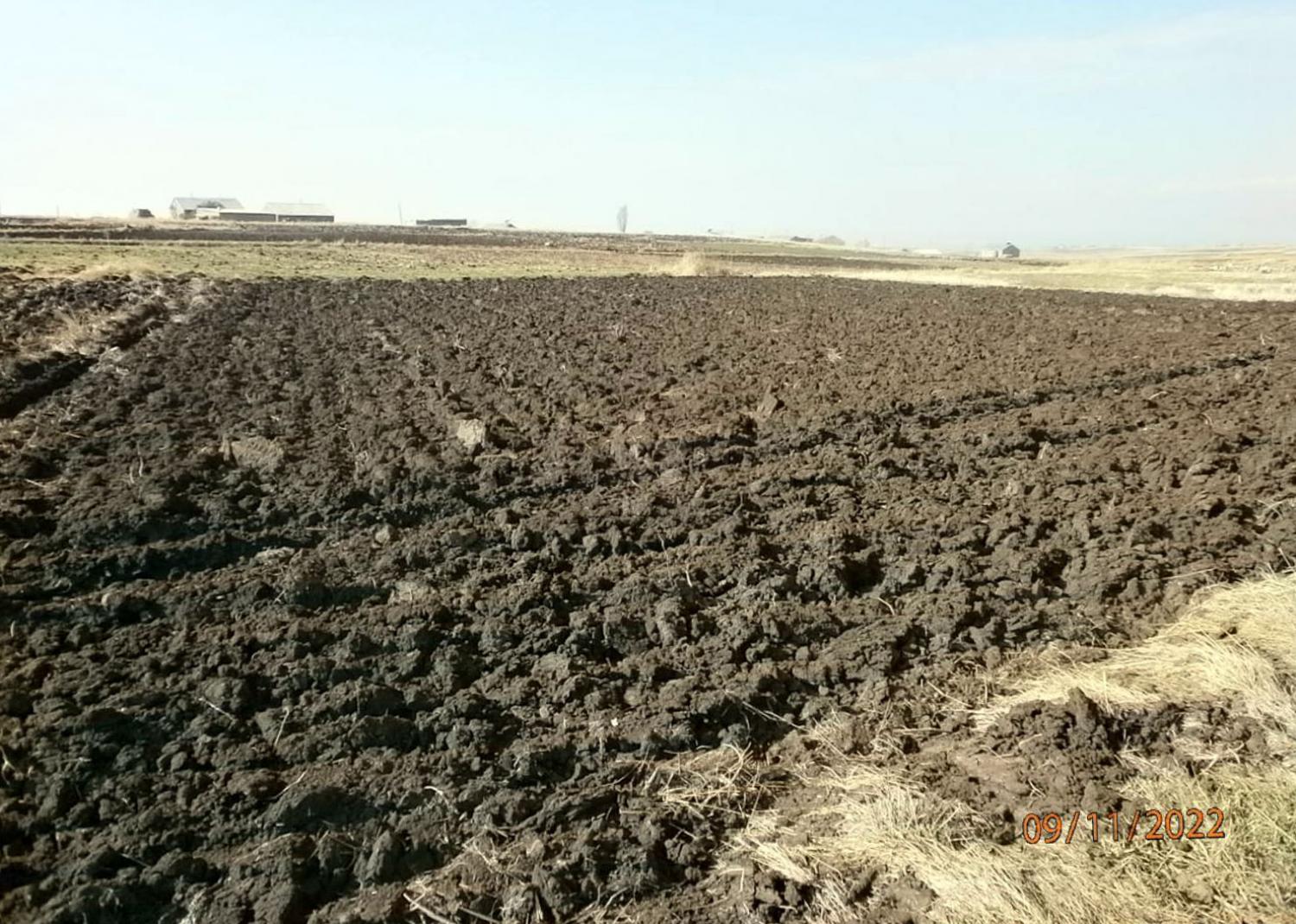 Տնամերձ հողամաս, Մեծ Մանթաշ