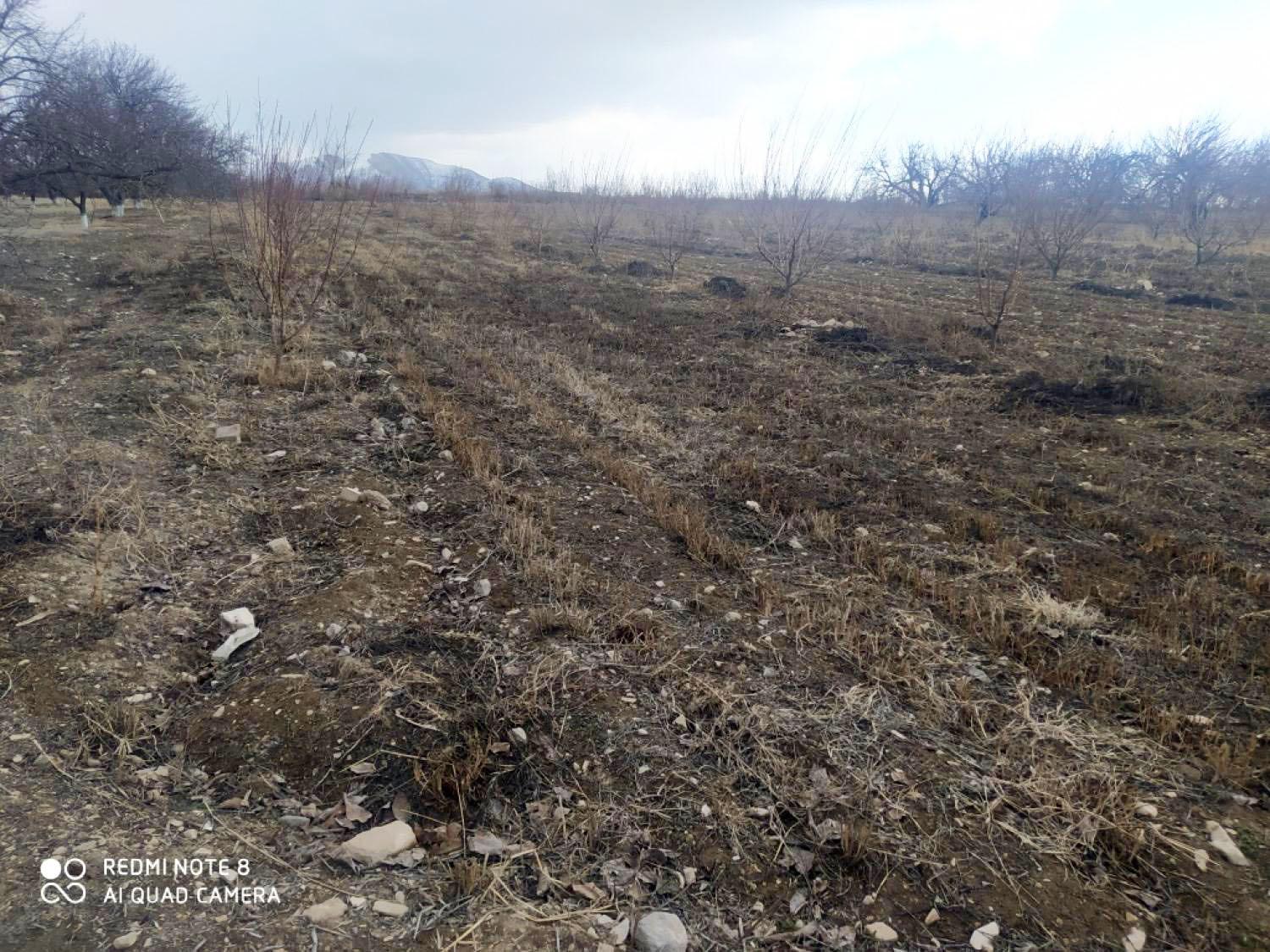 Վարելահող, Նորաշեն