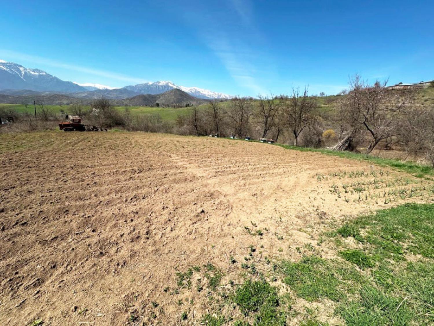 Հողամաս, Արծվանիկ